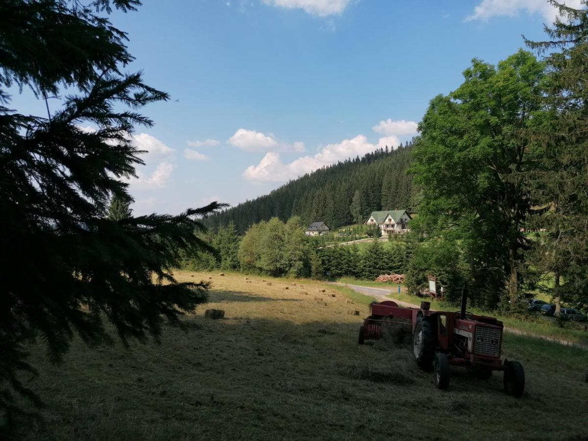 Gosciniec Janowa Gora - Agroturystyka Stronie Slaskie Luaran gambar