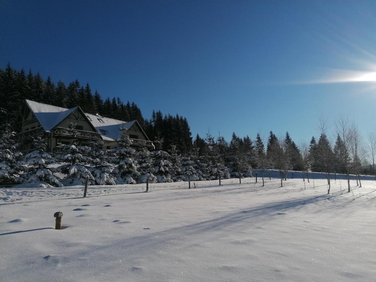 Gosciniec Janowa Gora - Agroturystyka Stronie Slaskie Luaran gambar